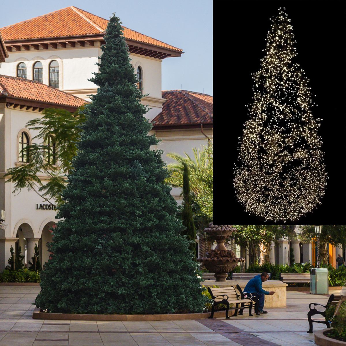 Sterling Summit Christmas Tree - 18ft Tall - Warm White LED Lights - Commercial Christmas Display